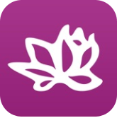lotus yoga